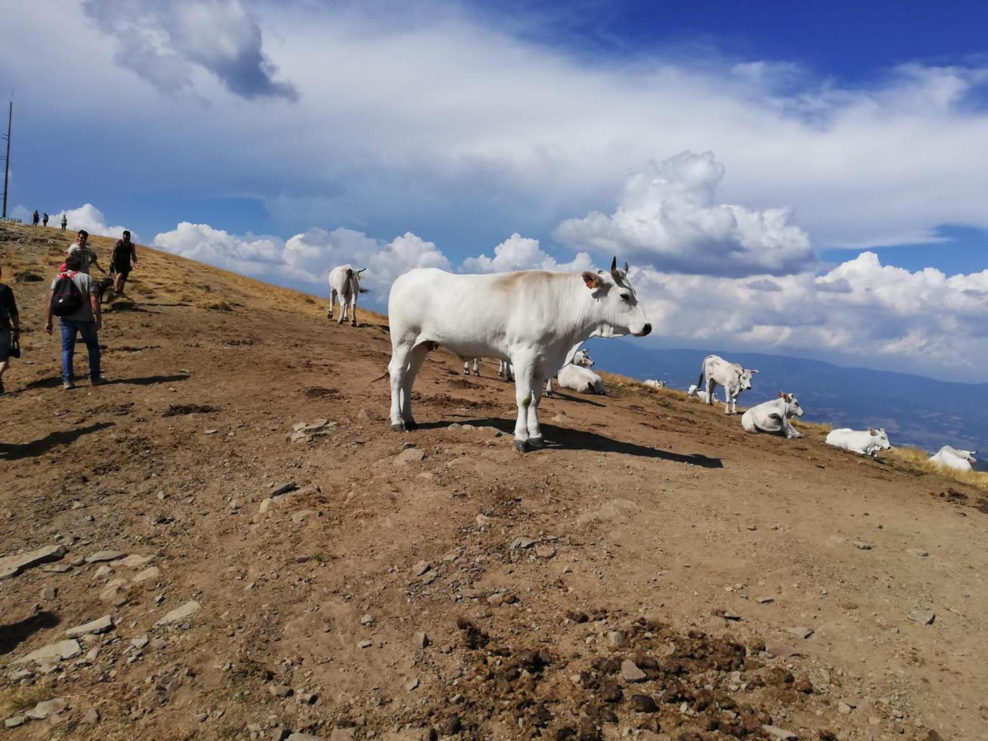 Il Rifugio Di Vale Vila Cetica Exterior foto